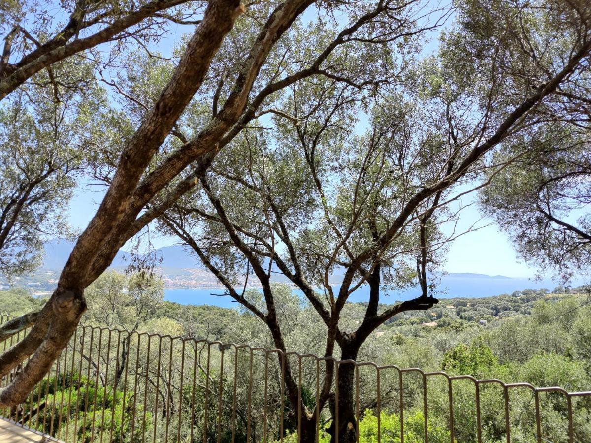Residence Licciola Propriano  Buitenkant foto